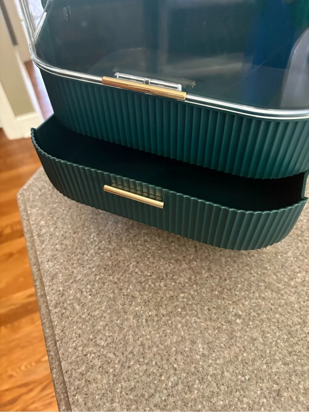 Makeup Organizer Case with Clear Dome - green NWT